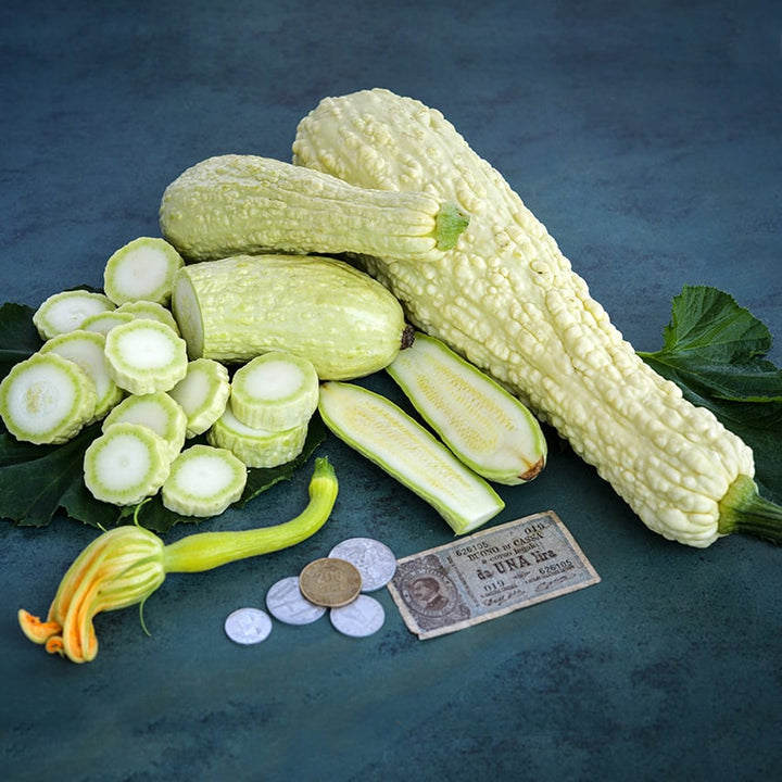 Sliced and whole Rugosa Friulana Summer Squash with Italian money on teal background.