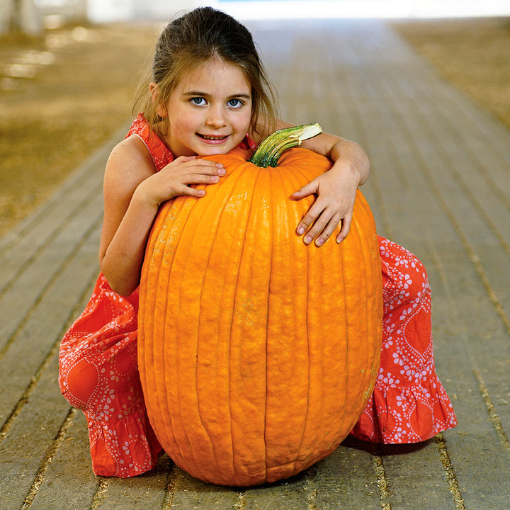 A smiling little girl hugs a Connecticut Field Pumpkin Winter Squash at the Sonoma County Fairgrounds.