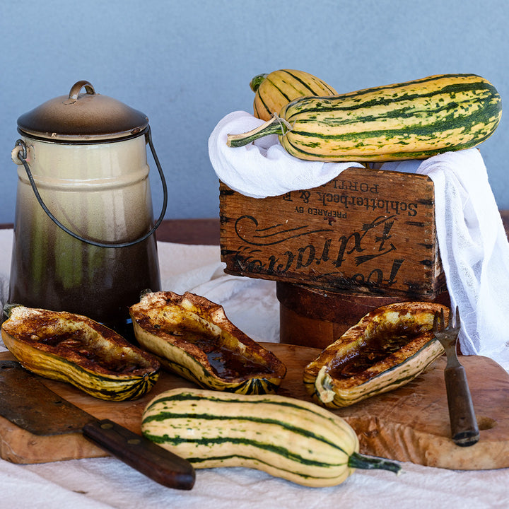 Fresh and baked Candystick Dessert Delicata Squash on wood props with a grey background.