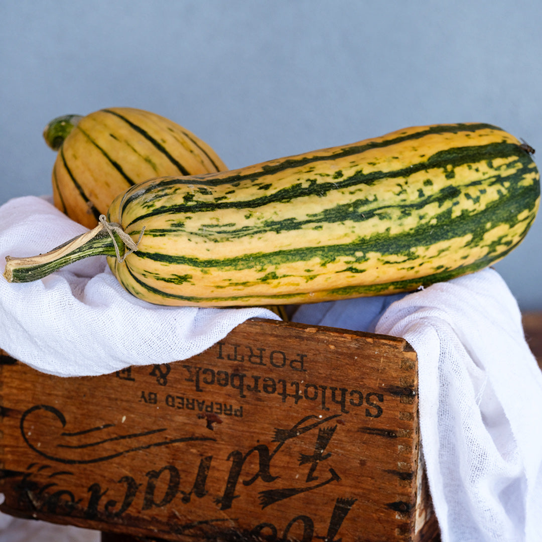 A pair of Candystick Dessert Delicata Squash balanced in a wooden box.