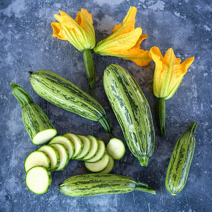 Whole and sliced Caserta Summer Squash with blooms on a variegated gray background.