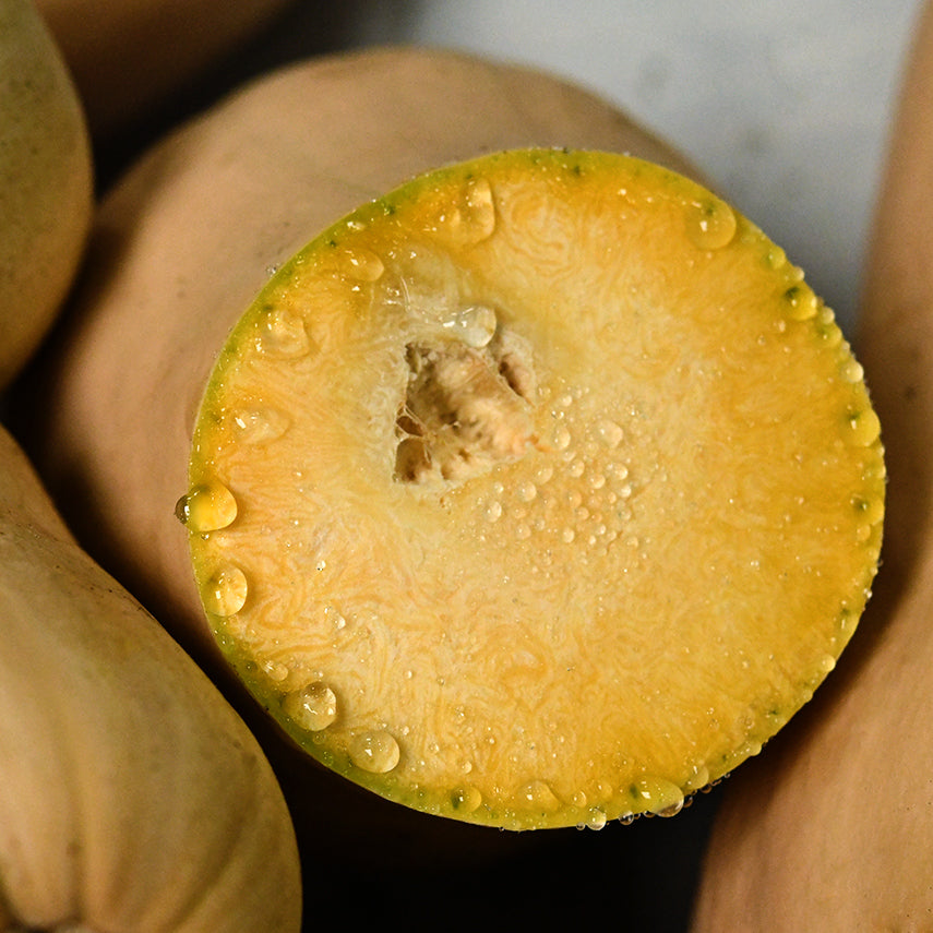 A close-up view of sliced Butternut-Waltham Winter Squash with sweet juices from the squash.