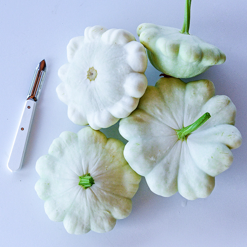 Four White Scallop Summer Squash with a white handled peeler on a white background.
