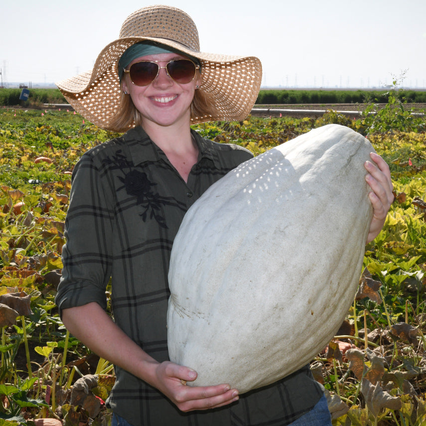Woman holding a Blue Hubbard Winter Squash in the Baker Creek trial farm in California.