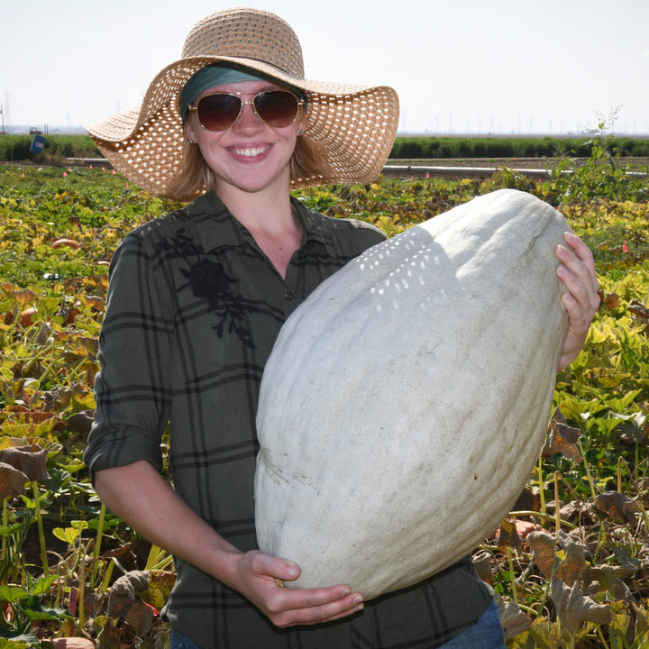 Woman holding a Blue Hubbard Winter Squash in the Baker Creek trial farm in California.