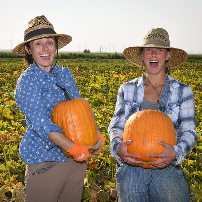 A Baker Creek employee and intern laughing while holding Connecticut Field Pumpkin Winter Squash.