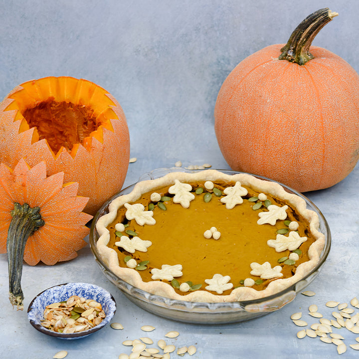 Luxury Pie Pumpkin Winter Squash with a decorated pie on wintery blue background.