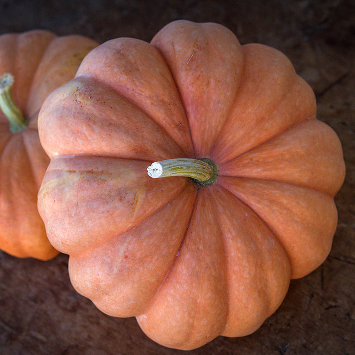 Moranga Winter Squash on a wooden background.