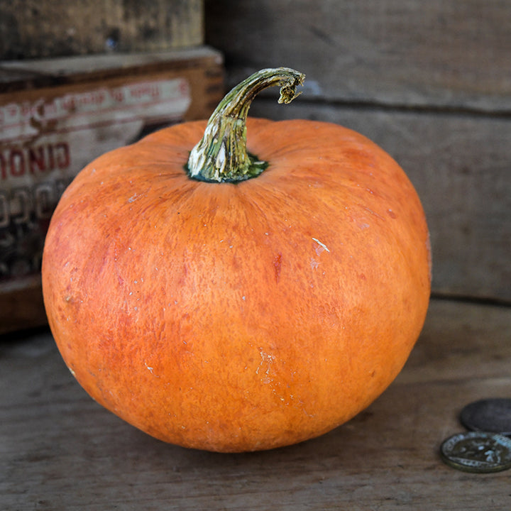 A whole Nicaise Winter Squash on a wooden background.