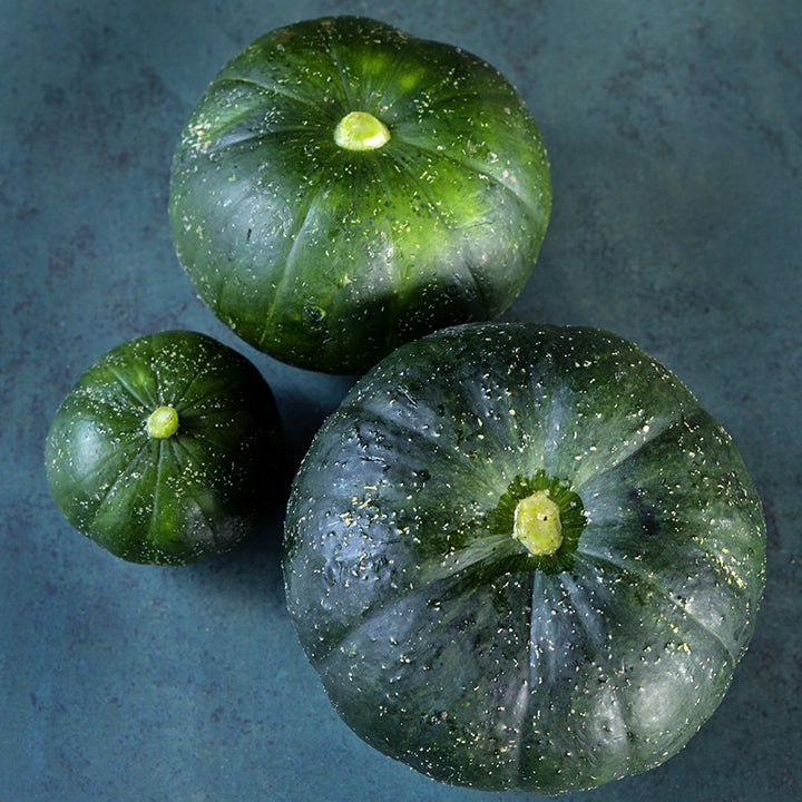 An overhead view of three Zapallito Del Tronco Summer Squash on jade green background.