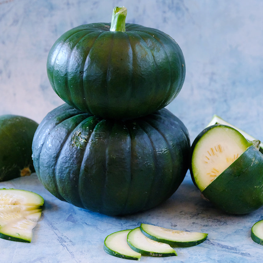 Two stacked Zapallito Del Tronco Summer Squash with cut squash on a light blue background.