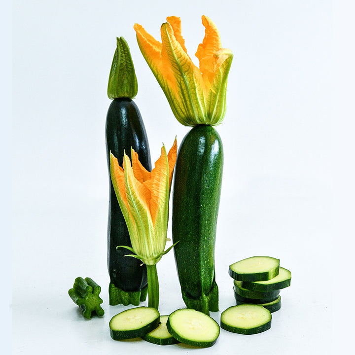Whole and cut Inizia Summer Squash with blooms on a white background.