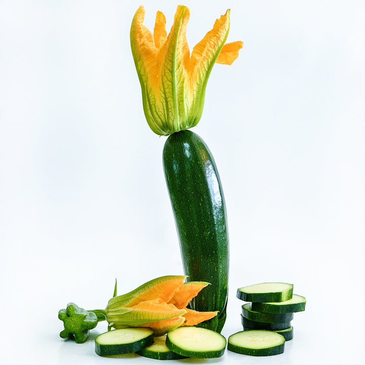 A single Inizia Summer Squash with a bloom attached to the fruit on a white background.