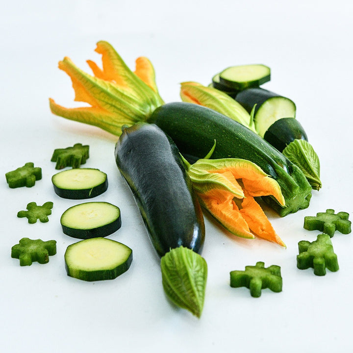 Inizia Summer Squash with blooms and slices resting on a white background.