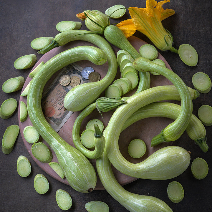 Cut and whole Zucchino Rampicante Summer Squash on a terra-cotta pizza stone with Italian money.