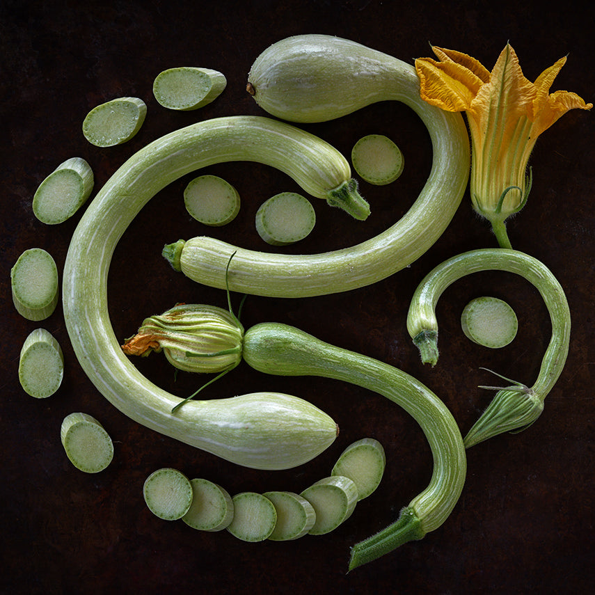 Whole and sliced Zucchino Rampicante Summer Squash arranged on dark copper background.