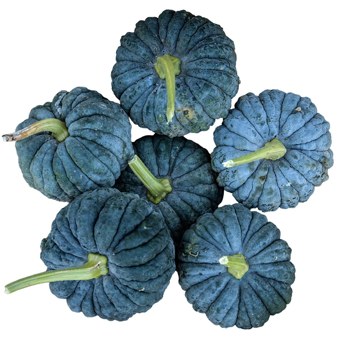 Six Black Futsu Winter Squash on a white background.
