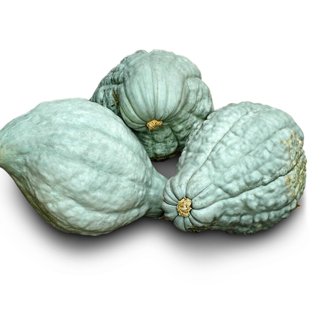 Trio of Blue Hubbard Winter Squash on a white background.