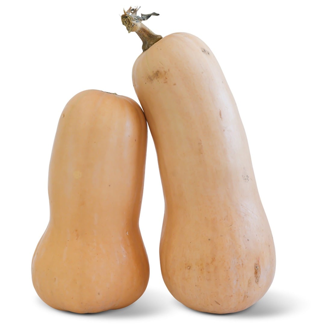 Two whole butternut-waltham winter squash stacked next to each other on a white background