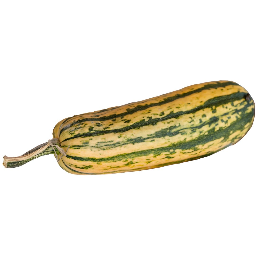 Single Candystick Dessert Delicata Winter Squash on a white background.