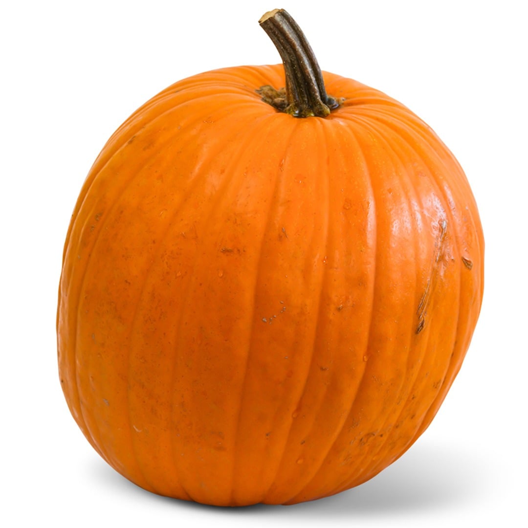 A single Connecticut Field Pumpkin Winter Squash on a white background.