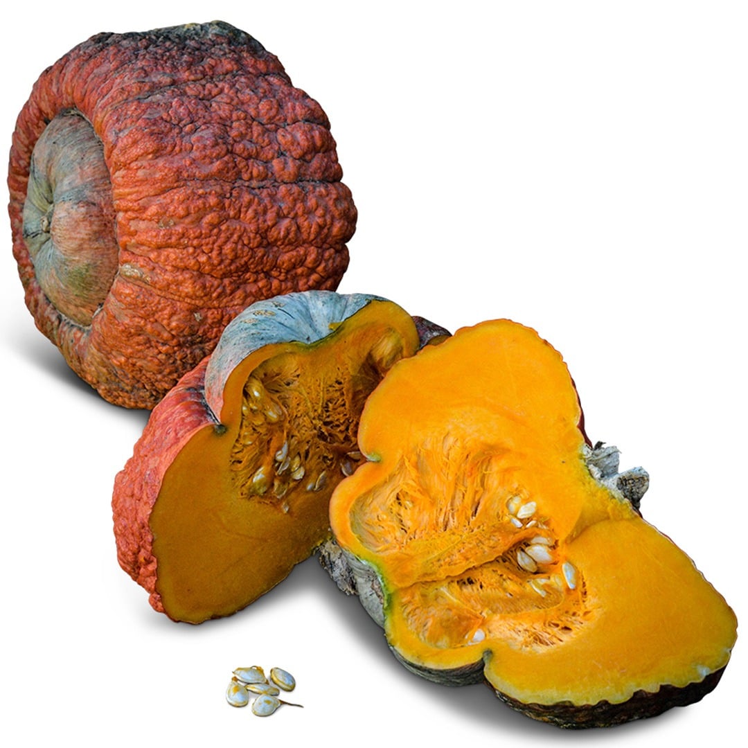 Whole and cut Essex Hybrid Winter Squash on a white background.