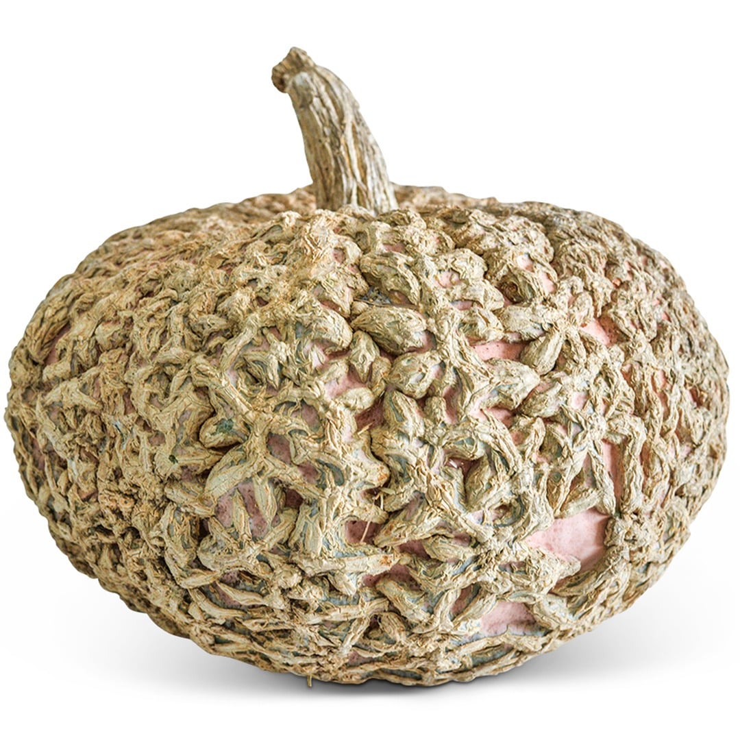 Close up of Galeux D Eysines Winter Squash on a white background.