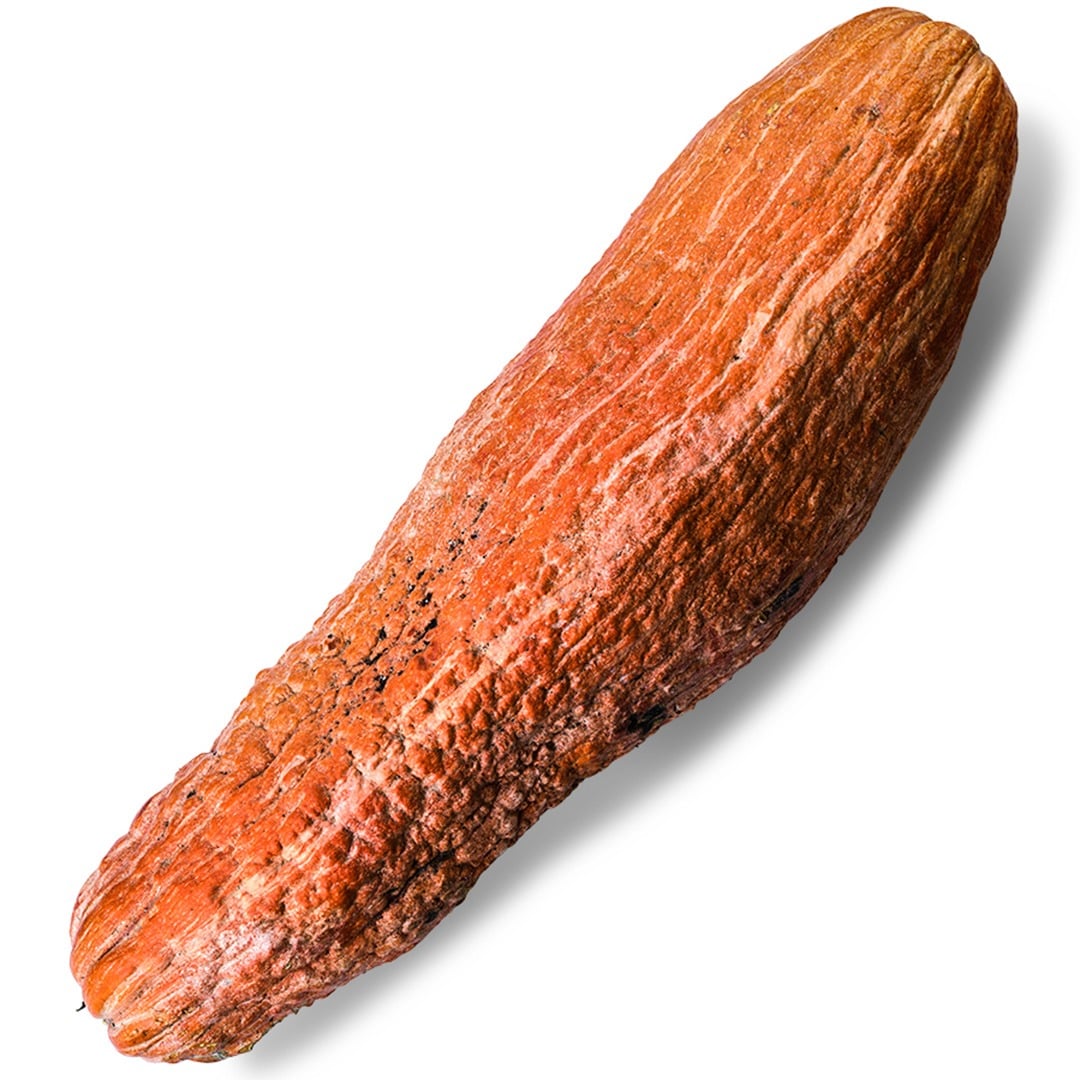Gete Okosomin Squash Seeds | Baker Creek Heirloom Seeds