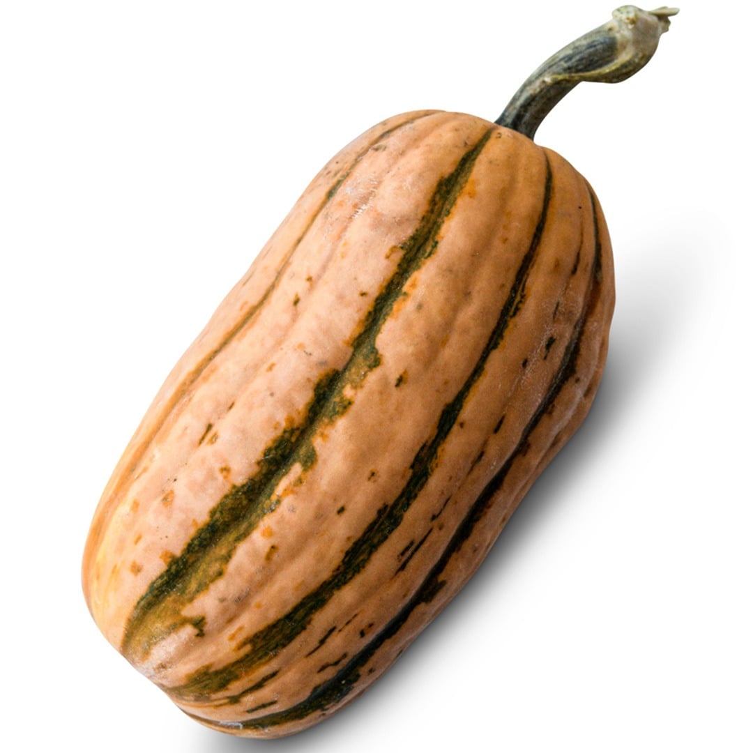 Honey Boat Delicata Winter Squash on a white background.