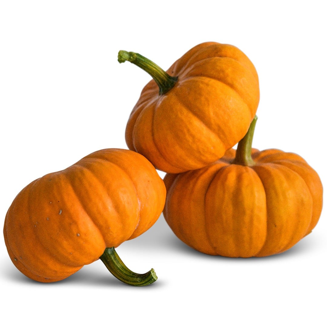 Trio of Jack Be Little Winter Squash on a white background.