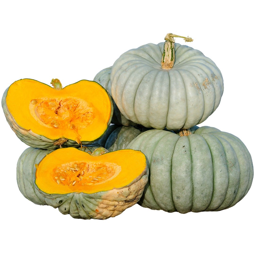 Jarrahdale Pumpkin Winter Squash stacked on a white background.