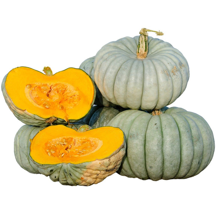 Jarrahdale Pumpkin Winter Squash stacked on a white background.