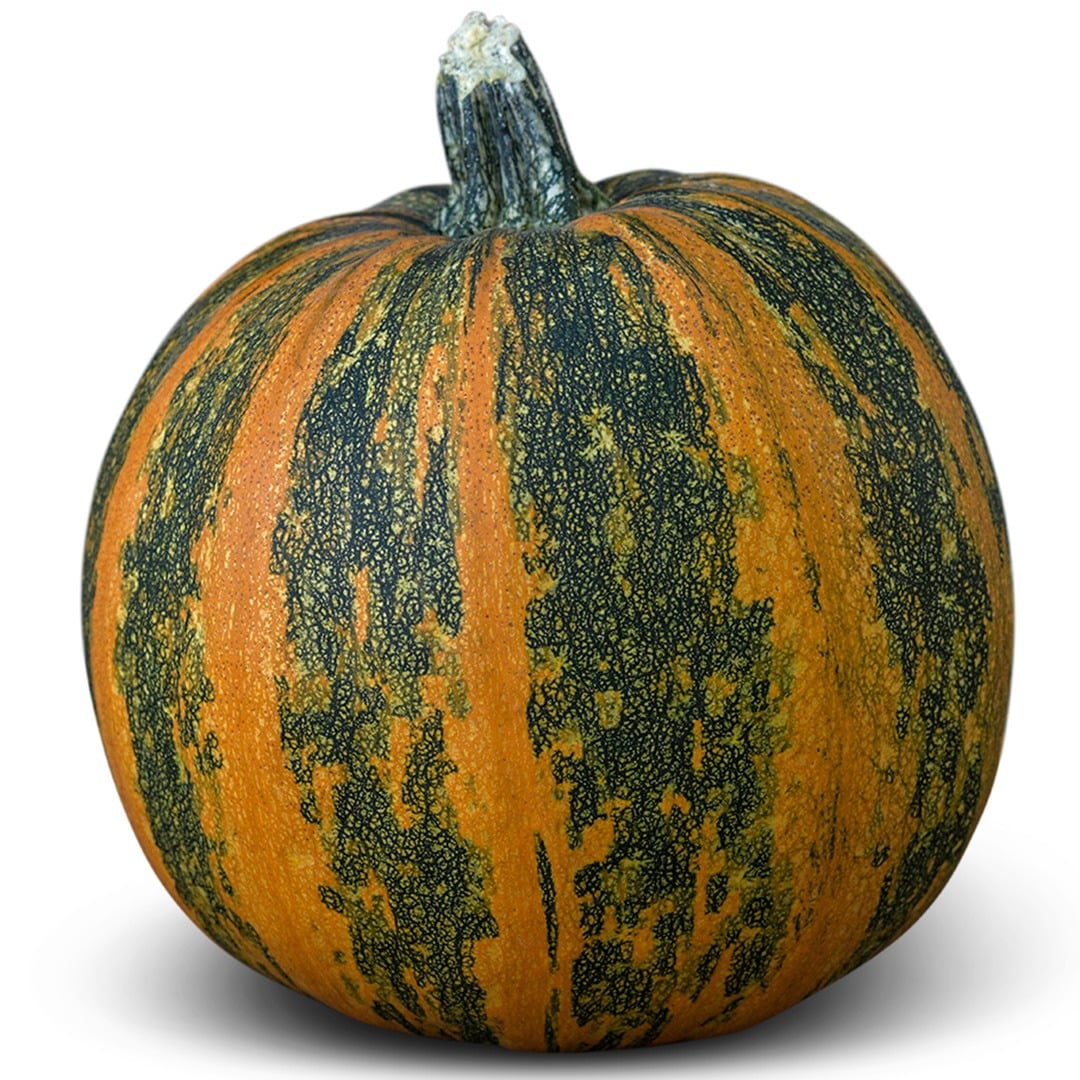 Kakai Winter Squash on a white background.