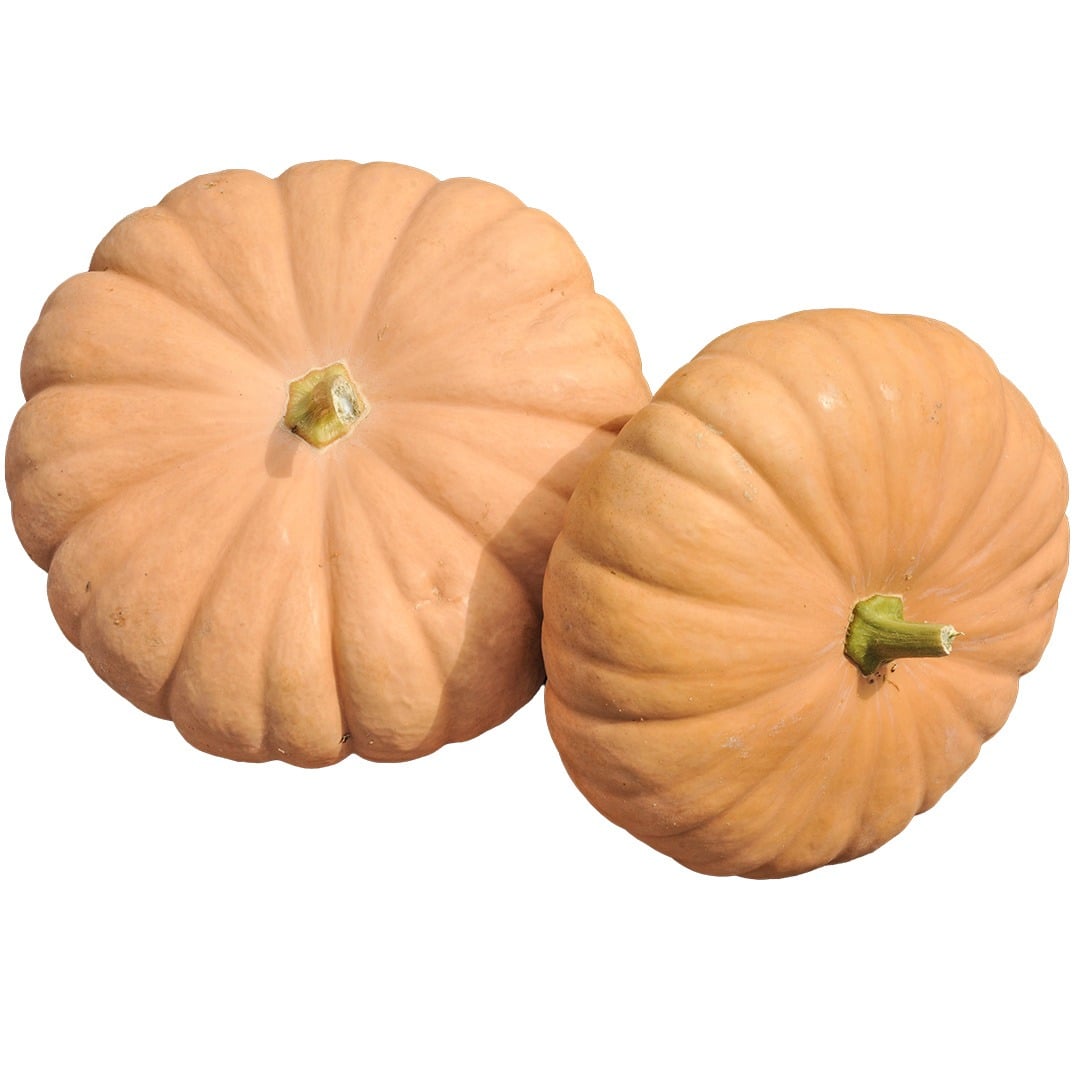 Pair of Long Island Cheese Winter Squash on a white background.