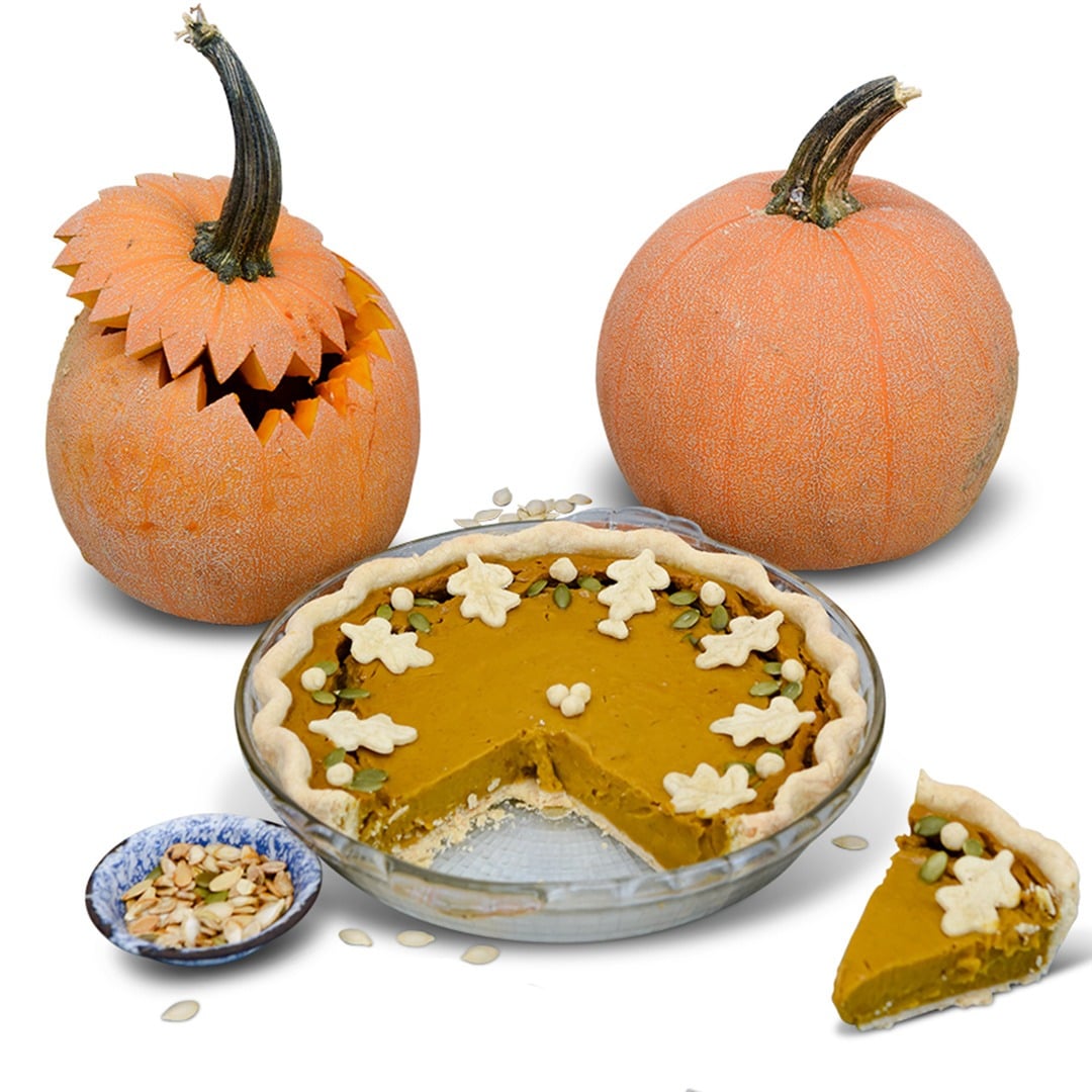 Luxury Pie Pumpkin Winter Squash with winter decorated pie on a white background.
