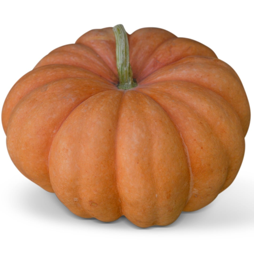 Moranga Winter Squash on a white background.