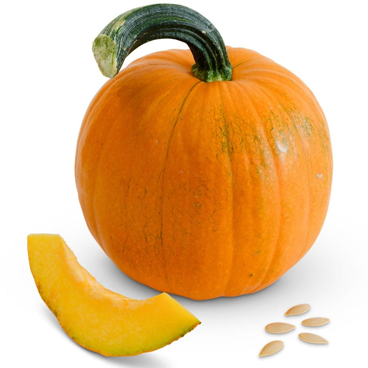 New England Sugar Pie Pumpkin Winter Squash on a white background.