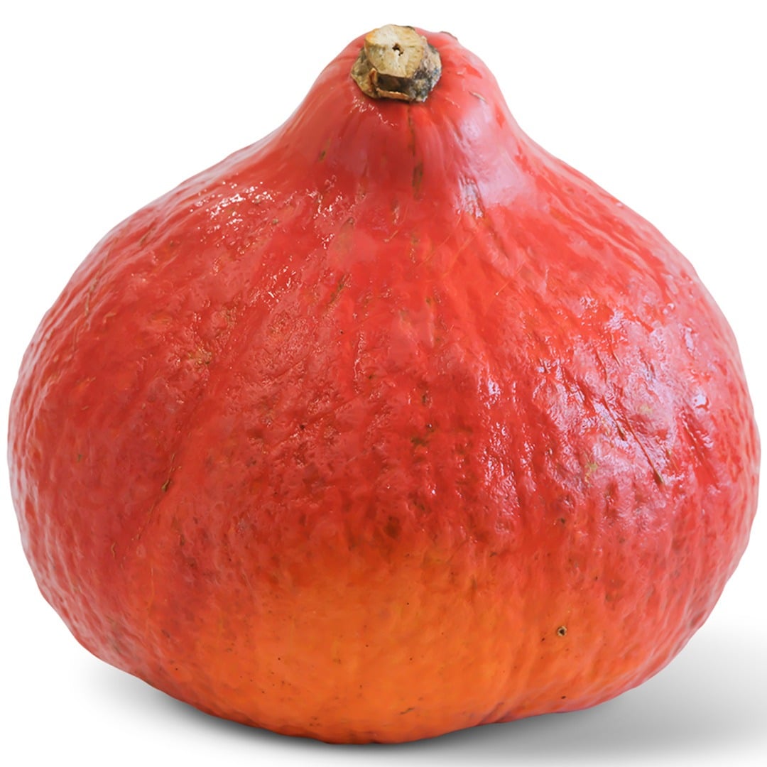 Red Kuri Winter Squash on a white background.