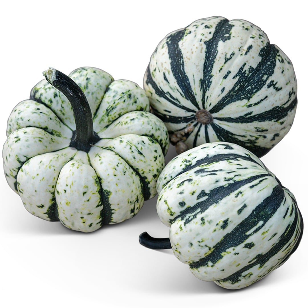 Trio of Sweet Dumpling Winter Squash on a white background.