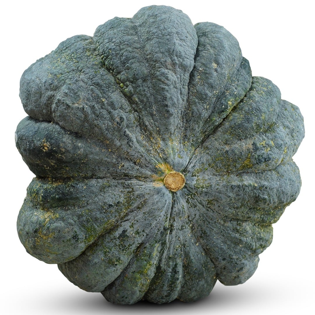 Thai Kang Kob Winter Squash on a white background.