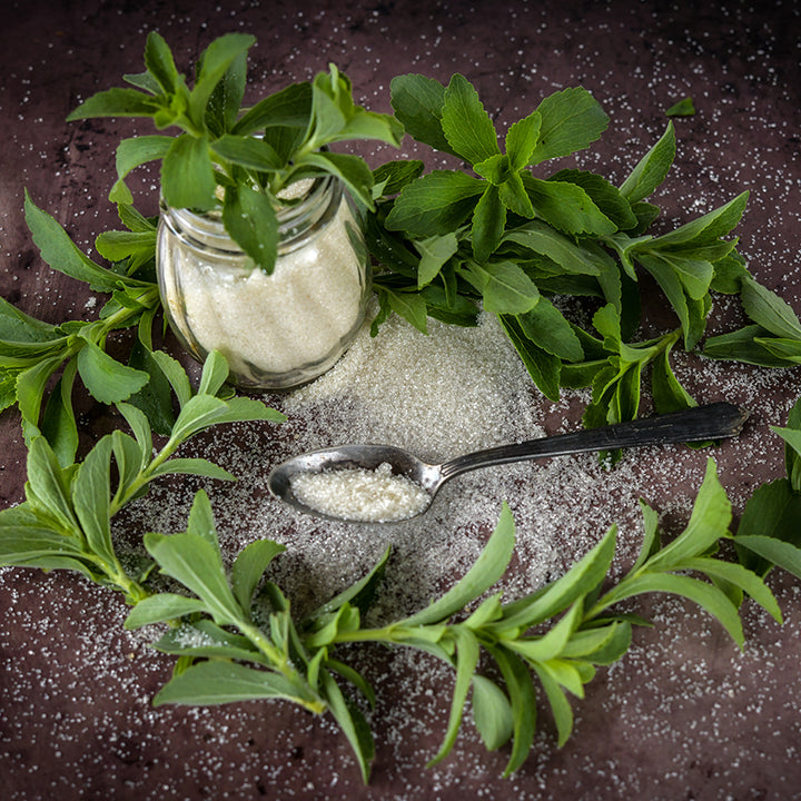 Stevia stems with processed granules
