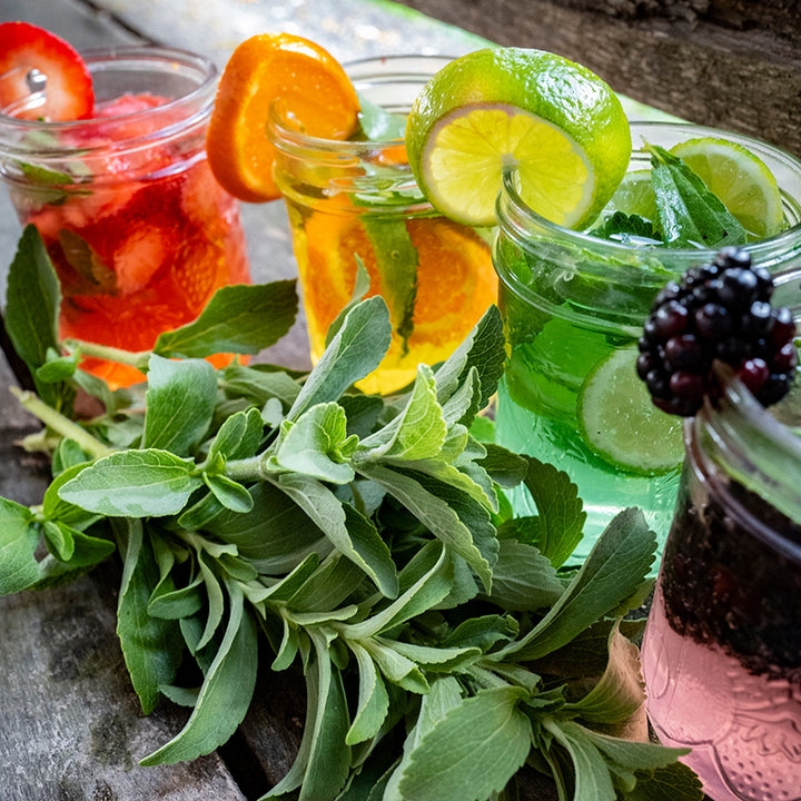 Stevia stems with various fruit drinks