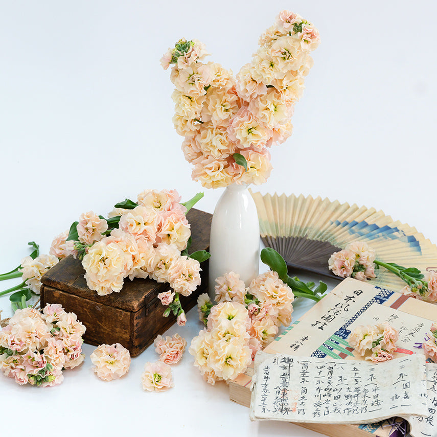 A floral arrangement of Chanter Cedo Apricot Stock accented by vintage Japanese items on a white background.