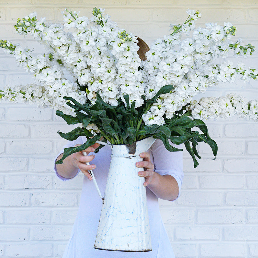 A woman in white tunic holding up a large pitcher full of Infinity White Stock in front of her face against a white brick wall.