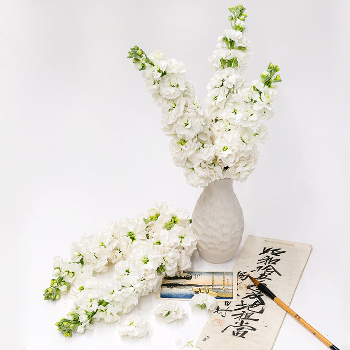 Infinity Snow Stocks in a white vase surrounded by stems and Japanese props on a white background.