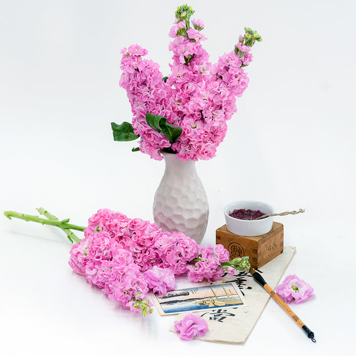 Venus Pink Stock in a vase surrounded by flowers and Japanese items on a white background.