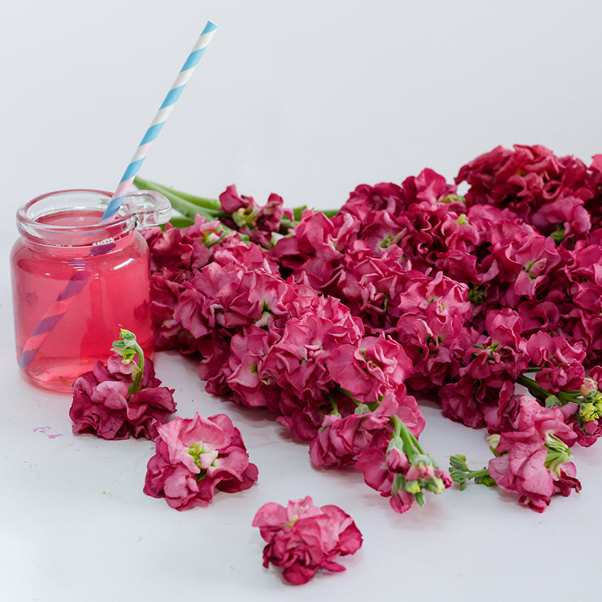 Vintage Brown Stock flowers with pink tea from dried flowers.
