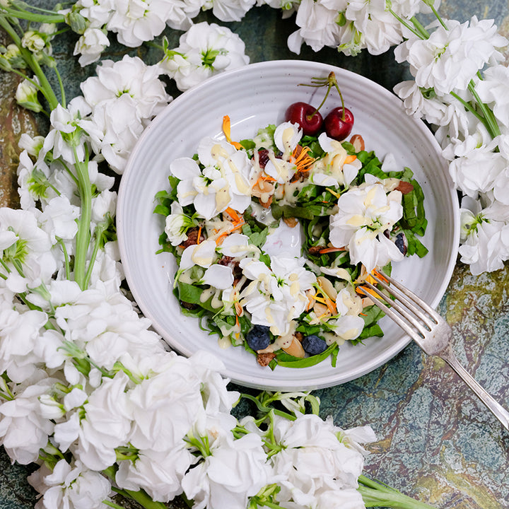 White Surf Stock stems surrounding bowl of salad.