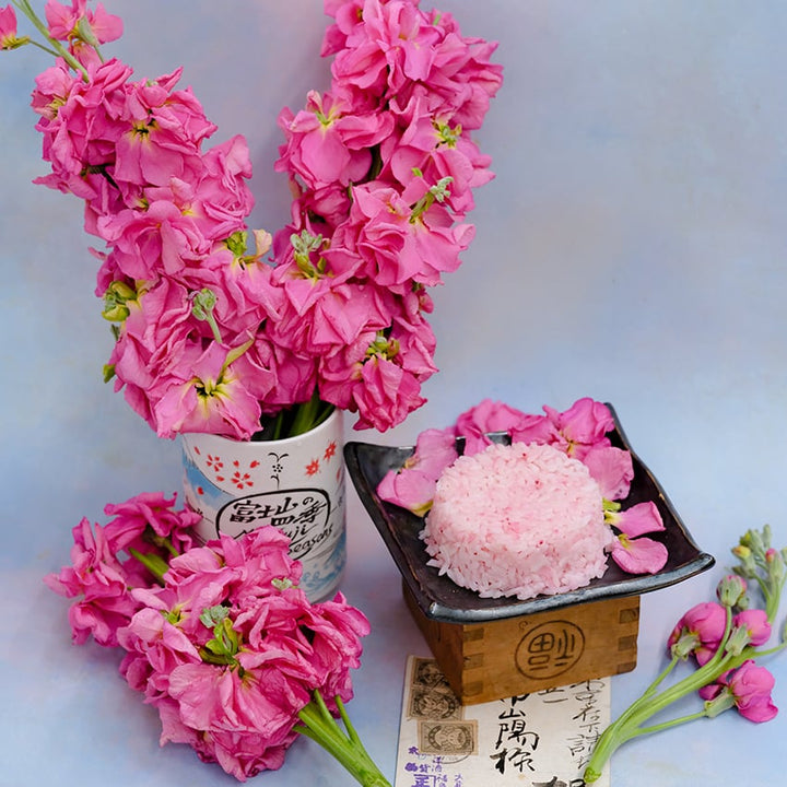 Beauty Salmon Pink Stocks with Japanese letter on light background.