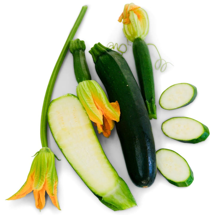 Summer Squash Seeds, Inizia